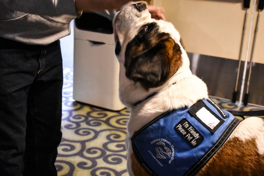 Central Connecticut's annual "Fresh Check Day" featured everything from ribbon messages to therapy dogs. 