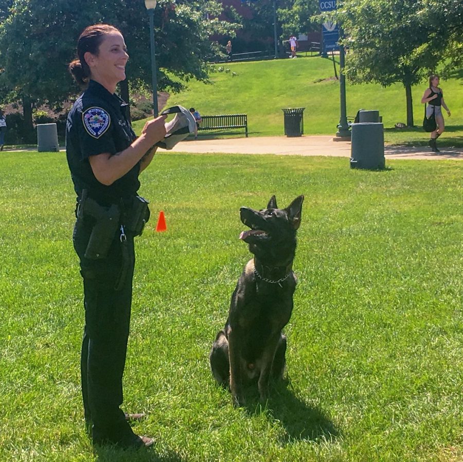 K-9 Diezel and his human partner Middletown Officer Aura Smith came to CCSU last Tuesday as part of a demonstration.