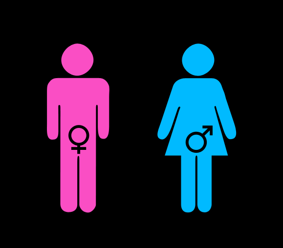 Source: https://sites.psu.edu/thefoos/2016/02/16/lets-talk-gender-roles_week6/
Breaking with sex roles