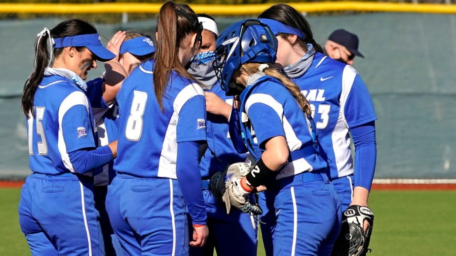 CCSU homered six times against the Mount this weekend.