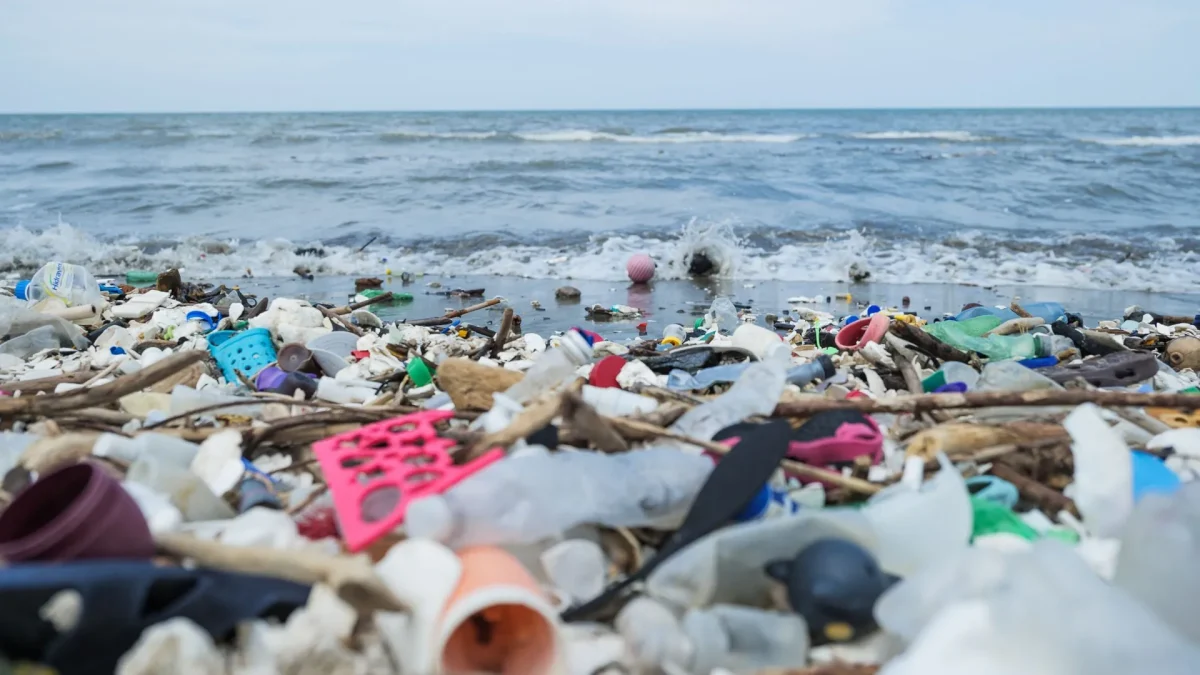 Plastics in the Ocean and Us